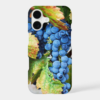 Rustic Napa Valley Wine Country Merlot Case