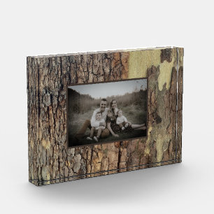 Rustic natural distressed tree bark forest trees photo block