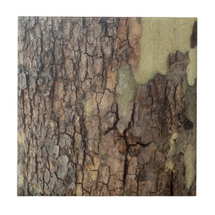 Rustic natural distressed tree bark forest trees  tile