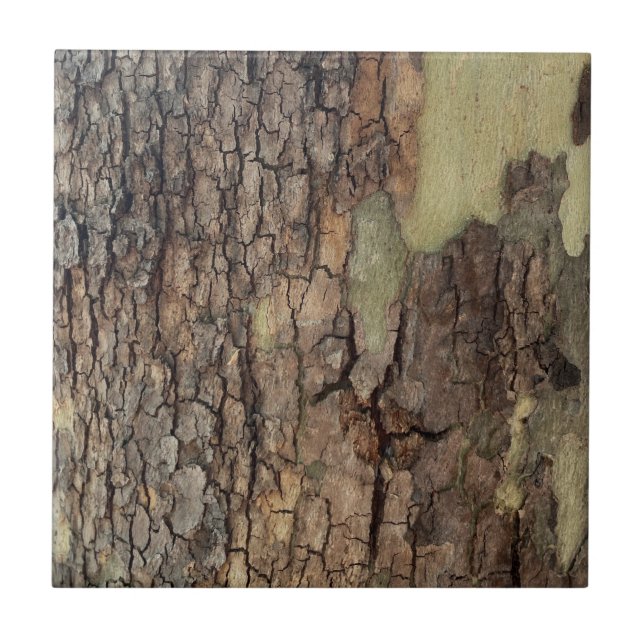 Rustic natural distressed tree bark forest trees  tile (Front)