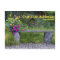 Rustic New Address Announcement Lush Flowers Bench
