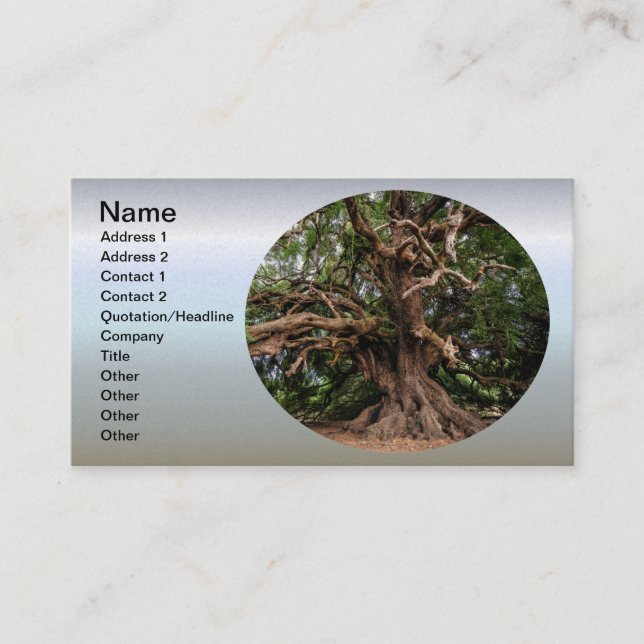 Rustic Old Olive Tree Business Card (Front)