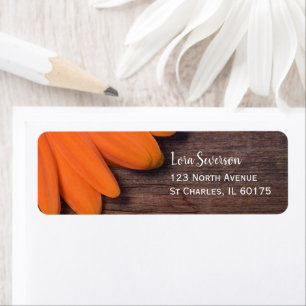 Rustic Orange Daisy et Barn Wood Adresse de retour