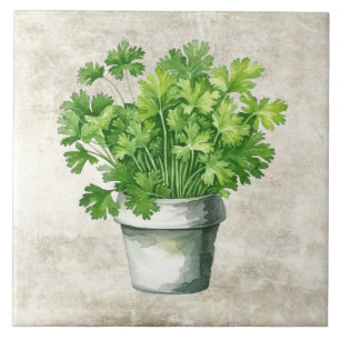 Rustic Parsley Herbs Neutral Vintage Watercolors Tile