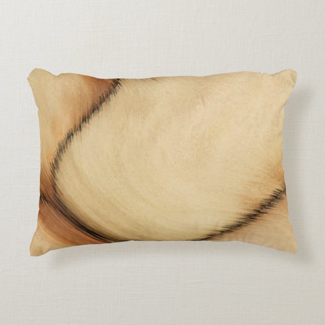 Rustic Patch Accent Pillow (Front)