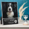 Rustic Pet Forever in Our Hearts | Photo Keepsake