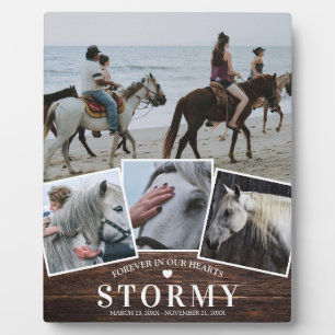 Rustic Pet Horse 4 Photo Collage & Name Memorial Plaque