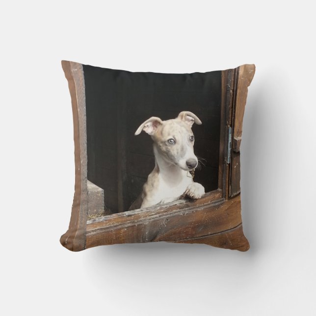 Rustic Pillow (Front)