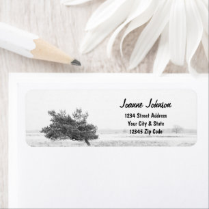 Rustic Pine tree country return address