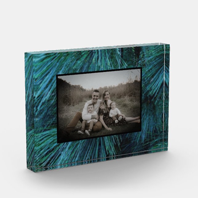 Rustic Pine trees pine forest green evergreen   Photo Block (Left)