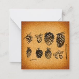 Rustic Pinecones Pine Cone Artwork Antique Design Card