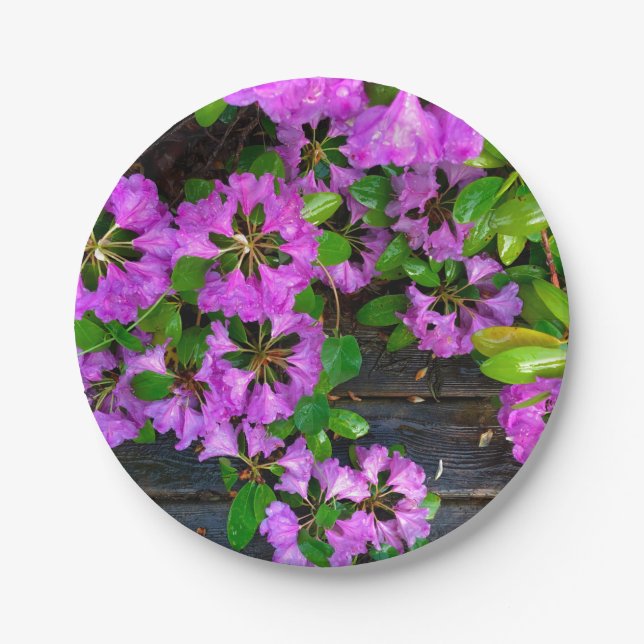 Rustic Pink Azaleas Paper Plate (Front)