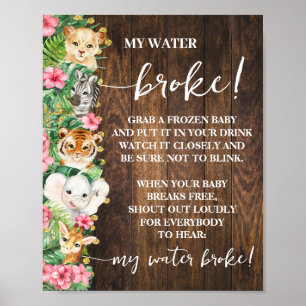Rustic Pink Safari My Water Broke Shower Game Poster