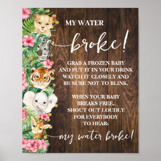 Rustic Pink Safari My Water Broke Shower Game Poster