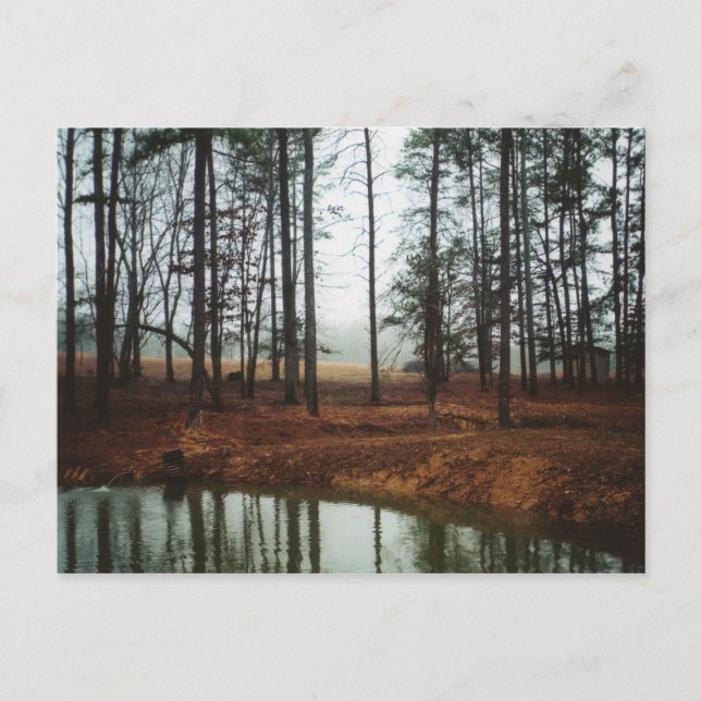 Rustic Pond Postcard (Front)