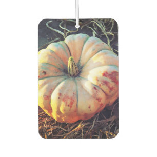 Rustic Pumpkin  Air Freshener