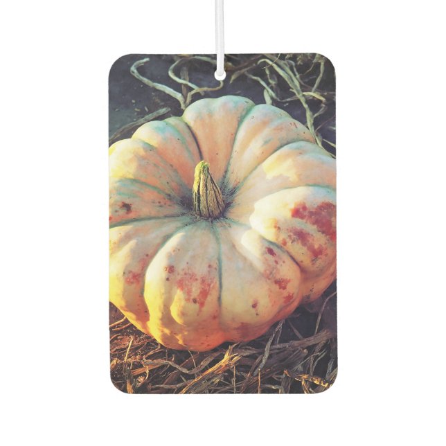 Rustic Pumpkin  Air Freshener (Front)