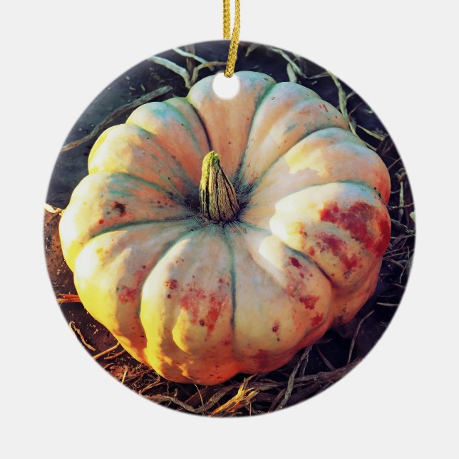 Rustic Pumpkin  Ceramic Ornament (Front)