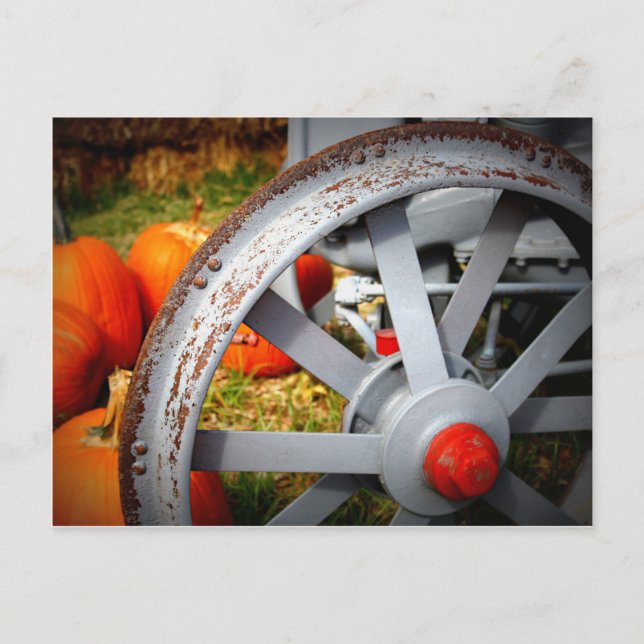 Rustic Pumpkins Postcard (Front)
