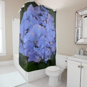 Rustic Purple Hydrangea macrophylla  