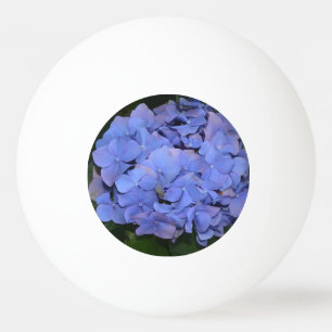 Rustic Purple Hydrangea macrophylla Ping Pong Ball