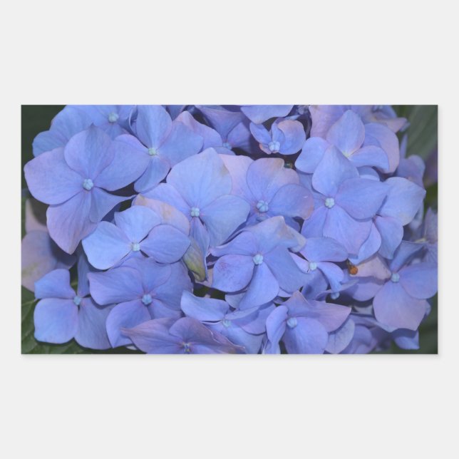 Rustic Purple Hydrangea macrophylla  Sticker (Front)