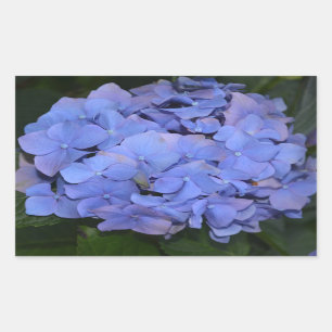 Rustic Purple Hydrangea macrophylla Sticker