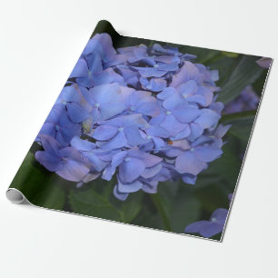Rustic Purple Hydrangea macrophylla Wrapping Paper