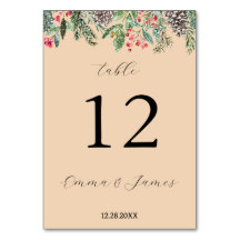 Rustic red holly and fir cone