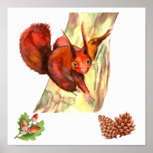Rustic Red Squirrel Acorns Pine Cones Poster