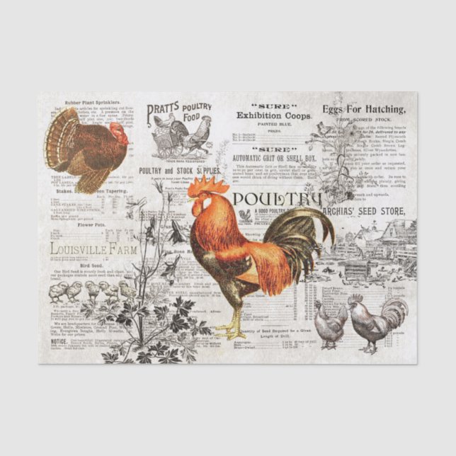 Rustic Rooster Horticulture Ads Ephemera Kraft Tissue Paper (Front)