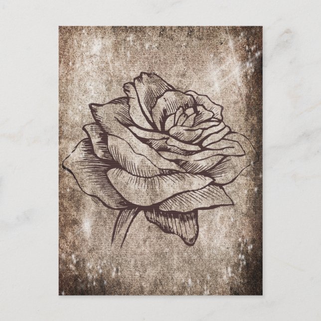 Rustic Rose Ink Drawing Postcard (Front)