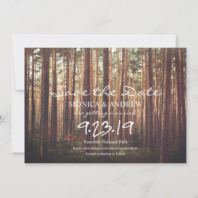 Rustic Save the Date Forest Tree Invitation (Devant)