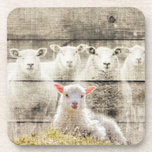 Rustic Sheep Baby Lamb Burlap Coaster