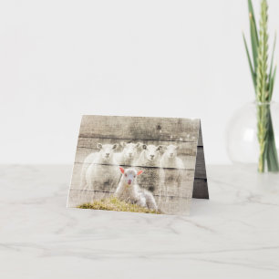 Rustic Sheep Baby Lamb Burlap Note Card