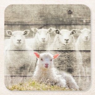 Rustic Sheep Baby Lamb Burlap Square Paper Coaster