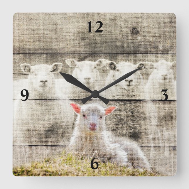 Rustic Sheep Baby Lamb Burlap Square Wall Clock (Front)
