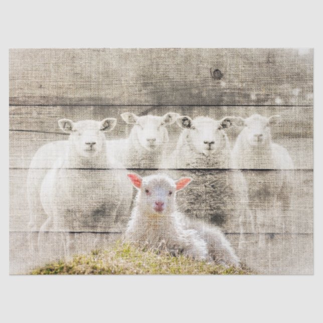 Rustic Sheep Baby Lamb Burlap Tissue Paper (Front)