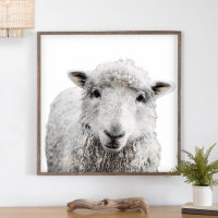 Rustic Sheep Minimalist Modern Country Farmhouse