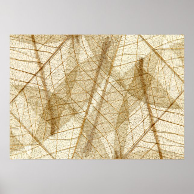 Rustic Sheer Lace Leaves Poster (Front)