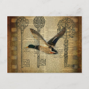 rustic skeleton keys western country mallard duck postcard