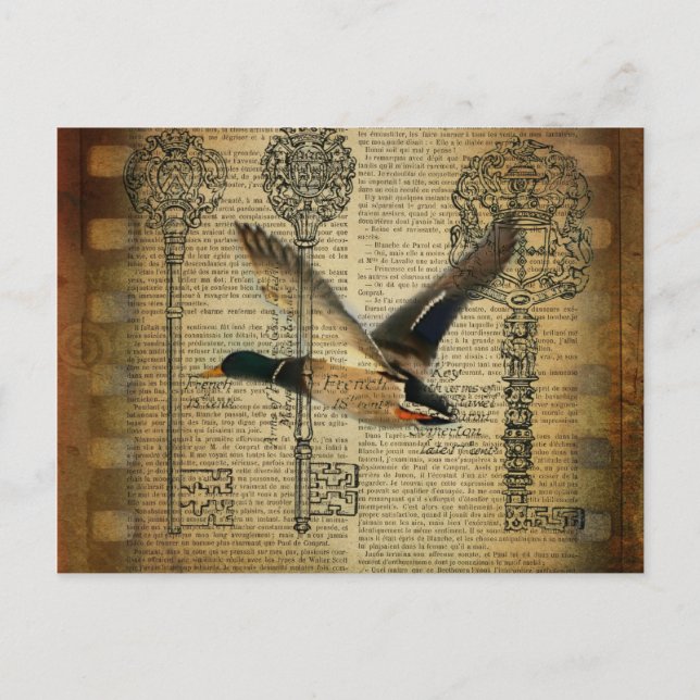rustic skeleton keys western country mallard duck postcard (Front)