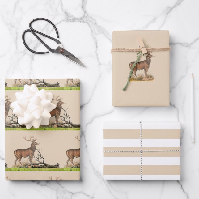 Rustic Stag Deer  Wrapping Paper Sheet (Front)