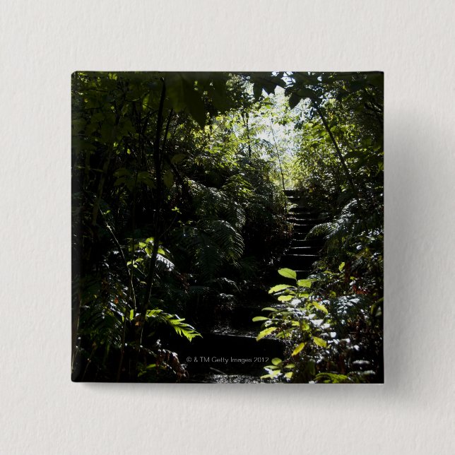 Rustic staircase/footpath in forest, sunlight 2 inch square button (Front)