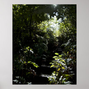 Rustic staircase/footpath in forest, sunlight poster