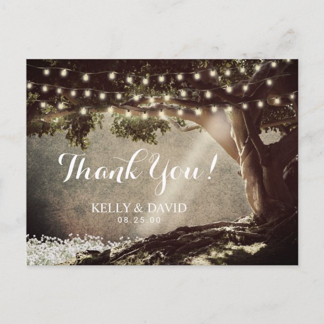 Rustic String Lights Vintage Tree Thank You Postcard (Front)