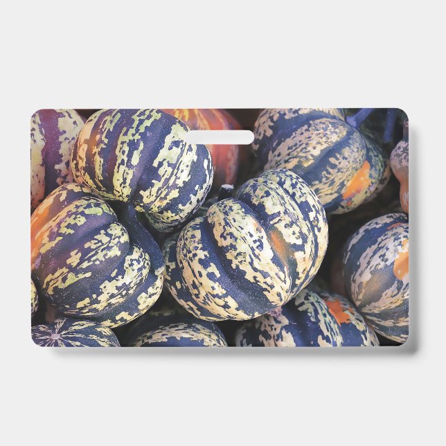 Rustic Striped Pumpkins  Badge (Front)
