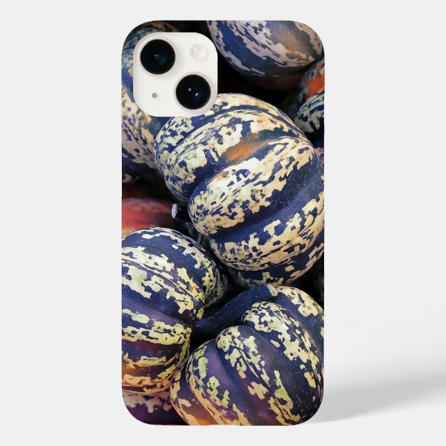 Rustic Striped Pumpkins  Case-Mate iPhone Case (Back)