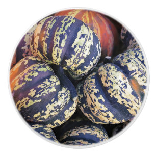 Rustic Striped Pumpkins Ceramic Knob
