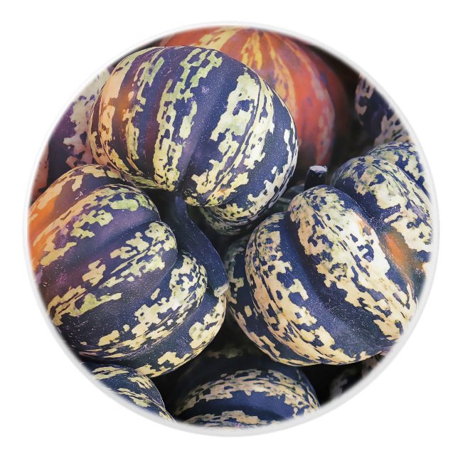 Rustic Striped Pumpkins  Ceramic Knob (Front)